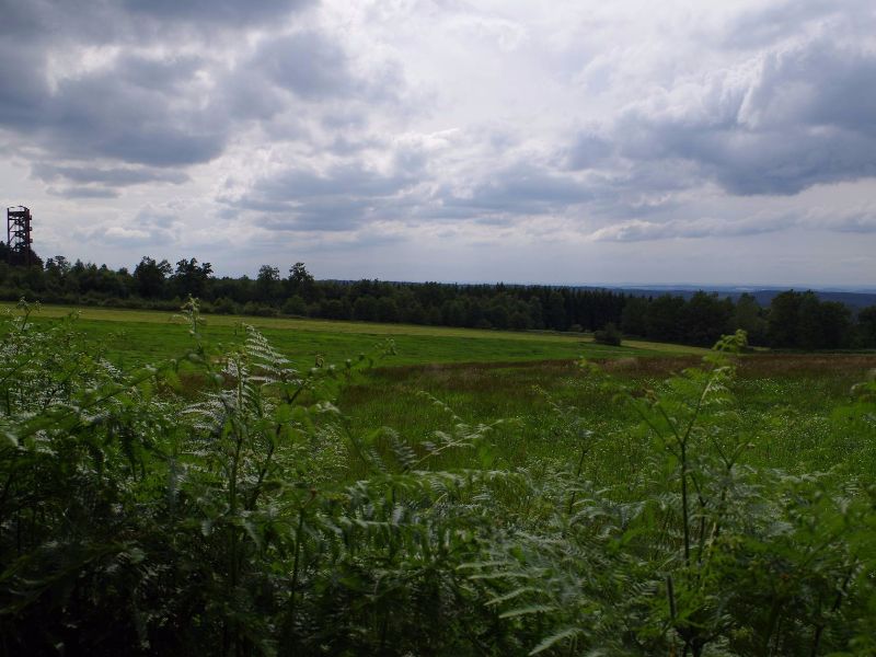 Hochsollingturm