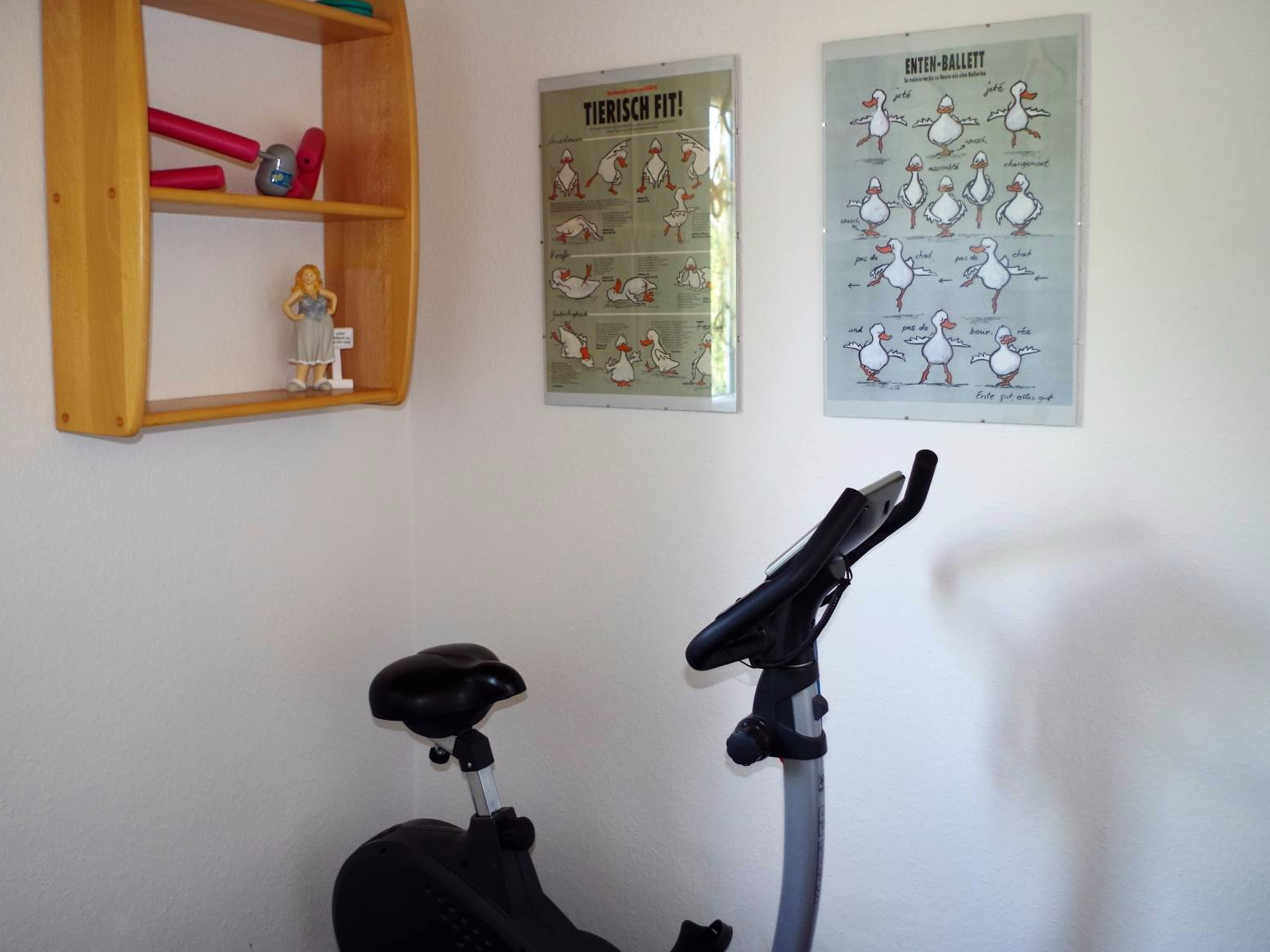 Fitnessbereich