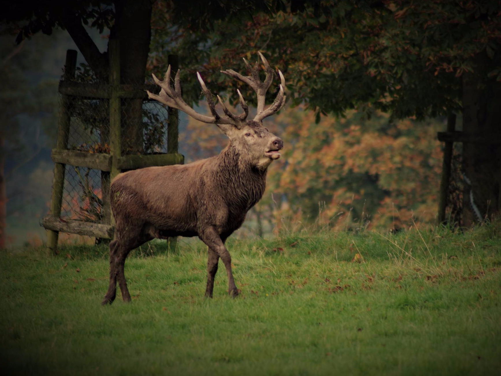 Wildpark Solling in Neuhaus
