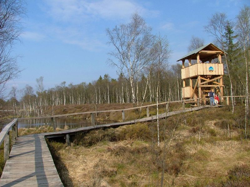 Hochmoor Mecklenbruch