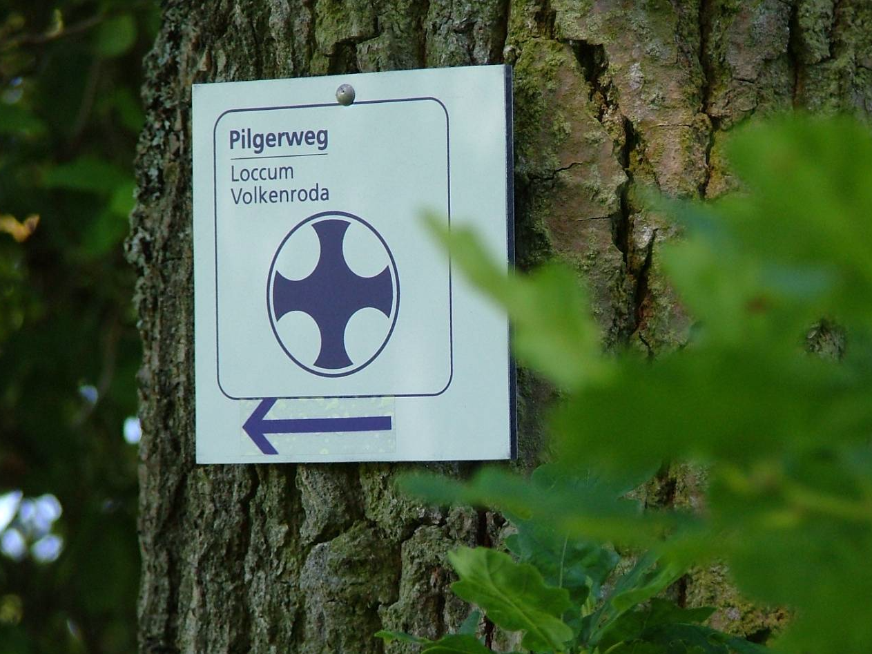 Pilgerweg Loccum-Volkenroda